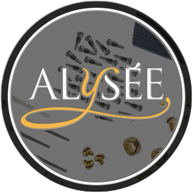 Alysée Vis de serrage bocal saxophone alto - 10 pièces