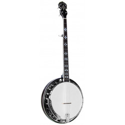 Banjo Bluegrass - Gold Tone BG-150F (+ étui)