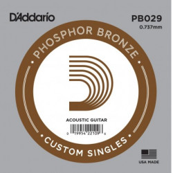 Corde au détail Guitare acoustique D'Addario Filée Phosphore Bronze 029 - PB029