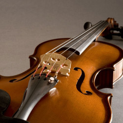 Fishman V-300 -  Micro violon série concert
