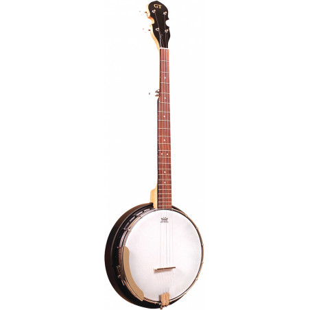 Banjo Bluegrass 5 Cordes - Gold Tone AC-5 (+ housse)