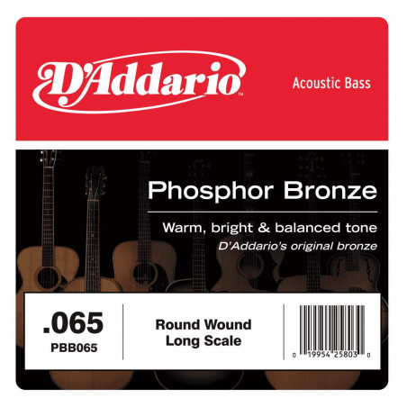 Corde au détail Basse acoustique D'Addario Phosphore BronzeLong Scale 065 - PBB065
