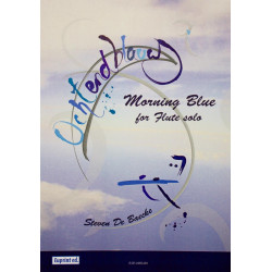 Morning blue - Steven De Baecke - Flûte - Stock B