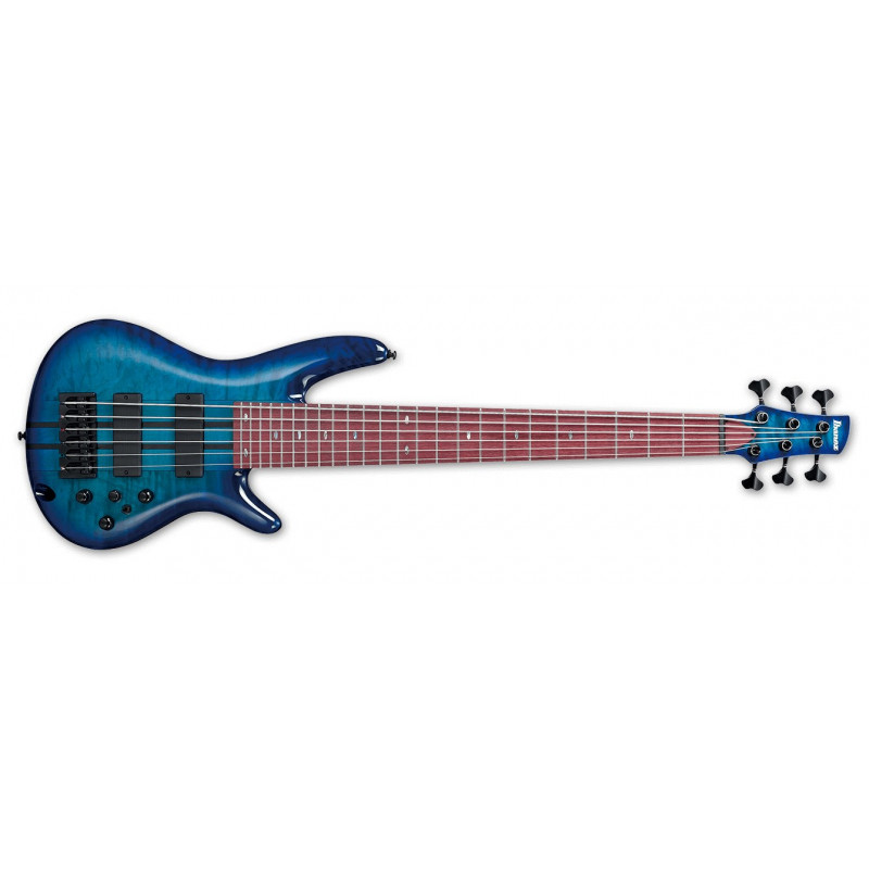 Ibanez ANB306 Adam Nitti - Basse électrique 6 cordes (+ étui)