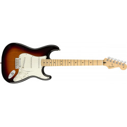 Fender Player Stratocaster - Manche érable - 3-Color Sunburst - Guitare électrique