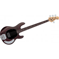 Sterling by Musicman Stingray Ray4 - Walnut Satin - Basse électrique