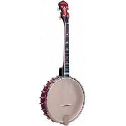 Gold Tone IT-250 - Banjo Tenor Irlandais (+ étui)