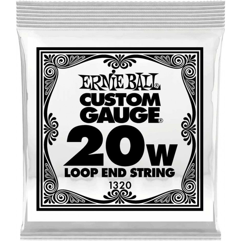 Ernie Ball 1320 - Corde folk à boucle au détail Stainless Steel - tirant 020