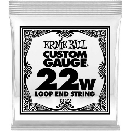 Ernie Ball 1322 - Corde folk à boucle au détail Stainless Steel - tirant 022