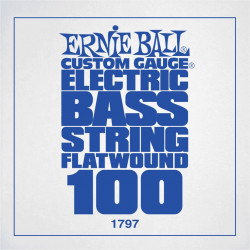 Ernie Ball 1797 - Corde basse au détail Custom Gauge Flatwound - Filé plat 100