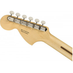 Fender American Performer Stratocaster - touche palissandre - Honey Burst + housse deluxe - guitare électrique