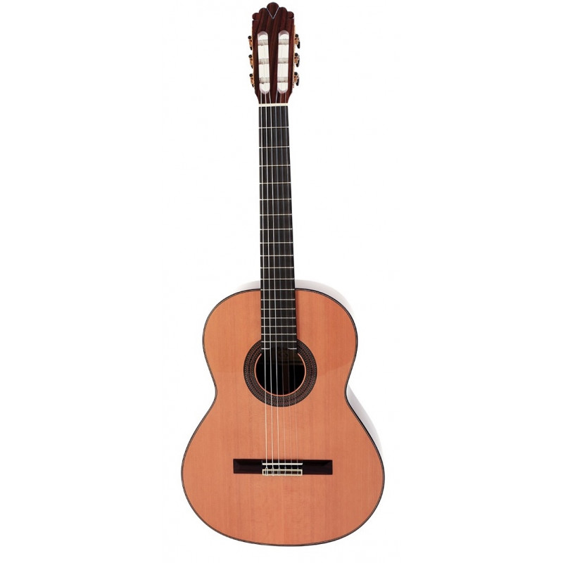 Prodipe Soloist 900 - Guitare classique 4/4