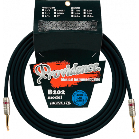 Providence B202 - 1,0m S/S - câble jack