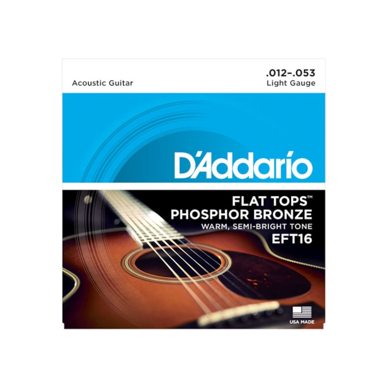 D'Addario EFT16, guitare à résonateur, 12-53 - phosphore bronze - filet supérieur plat
