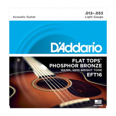 D'Addario EFT16, guitare à résonateur, 12-53 - phosphore bronze - filet supérieur plat