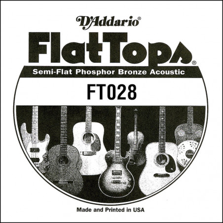 D'Addario FT028, .028 - Corde au détail phosphore bronze – filet demi-plat – guitare acoustique