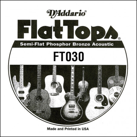 D'Addario FT030, .030 - Corde au détail phosphore bronze – filet demi-plat – guitare acoustique