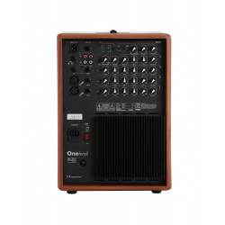 Acus One for All - Wood -  Ampli électro acoustique 200W avec Mixer