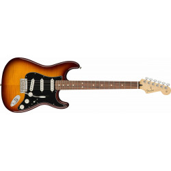 Fender Player Stratocaster Plus Top - touche Pau Ferro - Tobacco Sunburst
