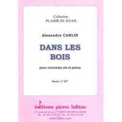 Dans les bois - Alexandre CARLIN - Clarinette Bb et Piano