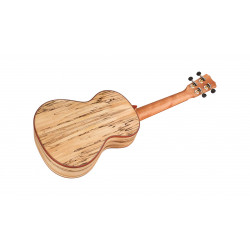 Cordoba 24T - ukulele tenor