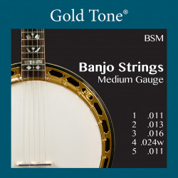 Goldtone BSM - Jeu de cordes tirant normal - banjo