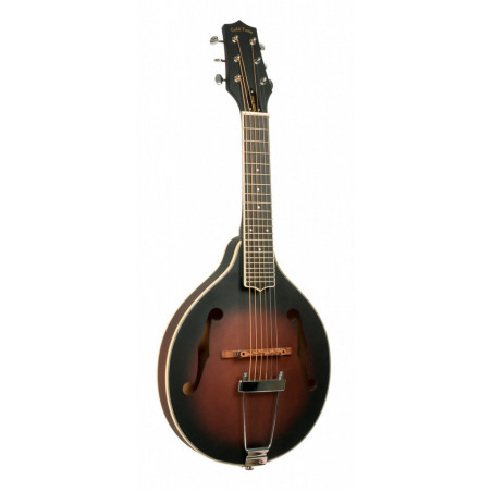 Goldtone A-6 - Guitare mandoline de type A (+ housse)