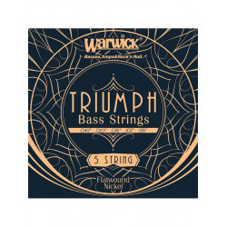 Warwick 44210 -  Triumph Bass Low B .049-.128 Jeu cordes contrebasse
