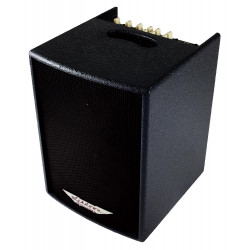 Ashdown AA100 - Ampli acoustique 2 canaux - 100W