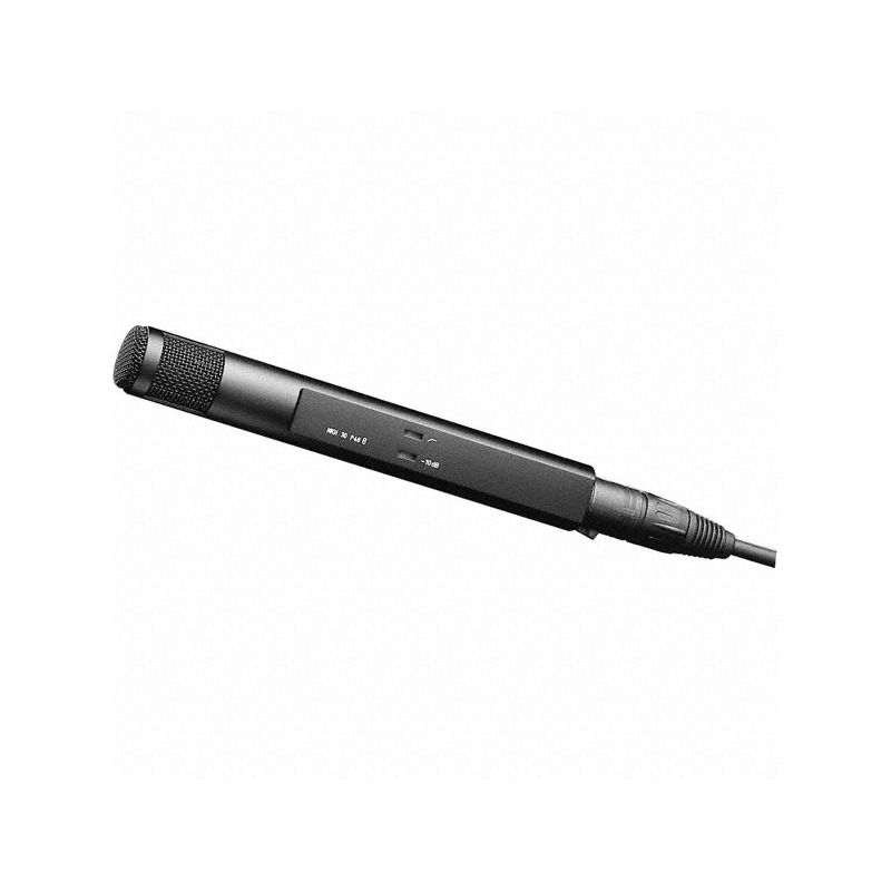 Sennheiser MKH 30 P 48 - Microphone électrostatique à condensateur HF, bidirectionnel