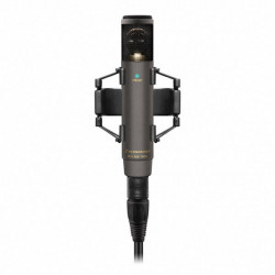 Sennheiser MKH 800 Twin Nx - Microphone électrostatique à condensateur HF, cardioïde x 2, directivité variable