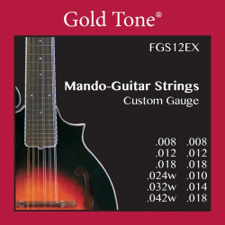 Goldtone FGS12EX  - Jeu cordes pour Mandoline 12 cordes