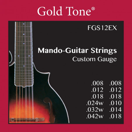 Goldtone FGS12EX  - Jeu cordes pour Mandoline 12 cordes