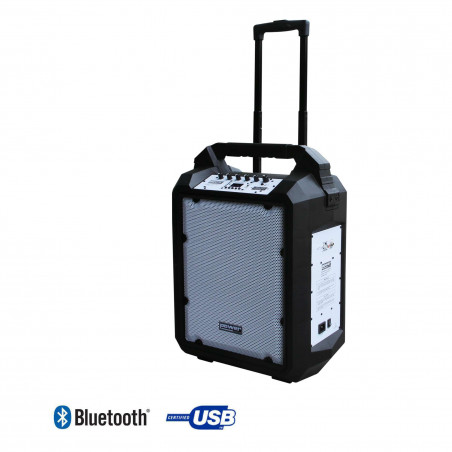 Power Acoustics Funmove 200 - Sono Portable 200W sur batterie avec trolley
