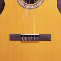 Walden WAN350W Standard 300 - Guitare classique