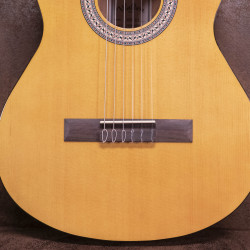 Walden WAN350-34W 3/4 Standard 300 - Guitare classique