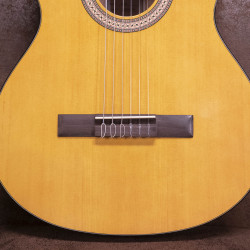 Walden WAN450W Standard 400 - Guitare classique