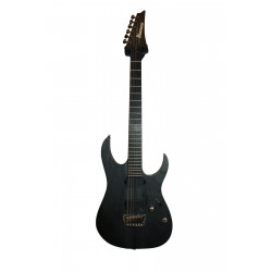 Ibanez RGIT20FECB Black Iron Label - Guitare électrique - Occasion (+ étui)