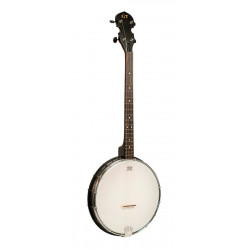 Goldtone AC-4 - Banjo acoustique ténor open back à 4 cordes (+ housse)