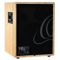 Ortega CONE-ASH - Ampli combo guitare acoustique - 100W (+housse)