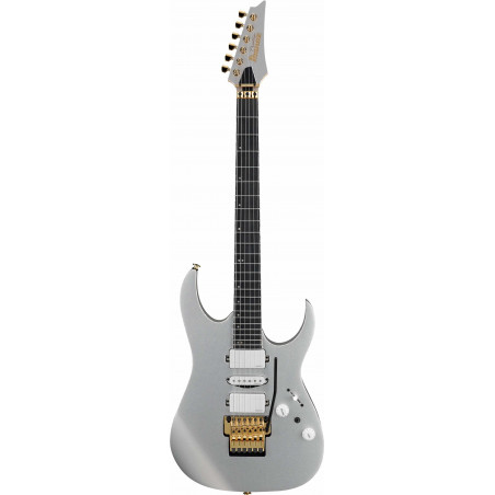 Ibanez RG5170G-SVF Silver Flat - Guitare électrique (+ étui)