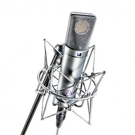 Neumann U 89 i - Microphone à grande membrane
