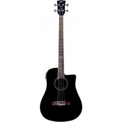 Eko NXT-B100CWE-BLK - Basse électro-acoustique - See Through Black