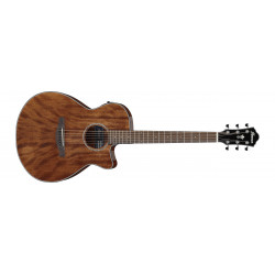 Ibanez AEG61-NMH - Guitare électro-acoustique - Natural Mahogany High Gloss