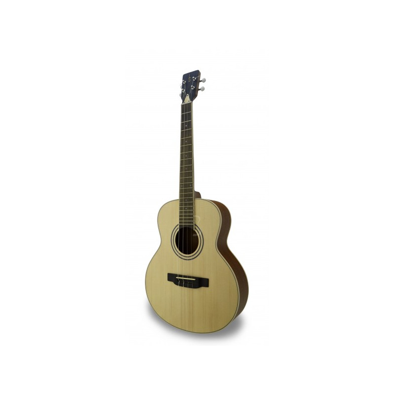 APC Carvalho TG-100 - Guitare acoustique Tenor