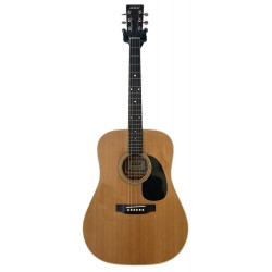 Guitare Zen-on Gakki FW625 d'occasion (+ étui)