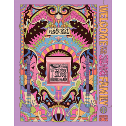 Ernie Ball POSTER2022-5 - Poster ernie ball slinky 2022 format a0 - zippy