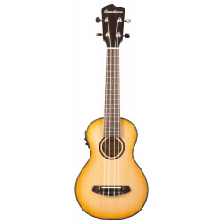 Breedlove LUUC26ED - Ukulele breedlove lu'au concert e