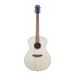 Breedlove DSSO212 – Guitare acoustique dreadnought - discovery s concert