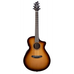 Breedlove SLC31CEED - Guitare électro acoustique solo pro concert – edgeburst